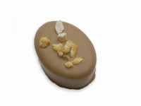 Krokant Nougat Praline 043